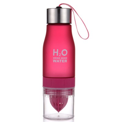 Custom 650ml plastic filter bottle fruit infuser water bottle